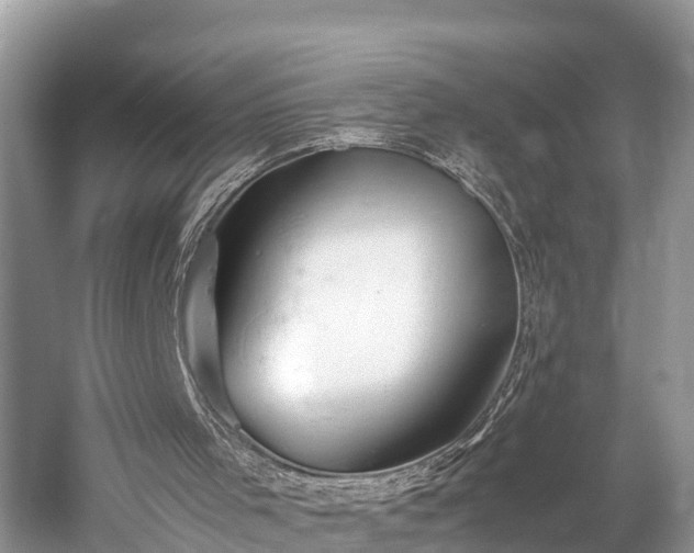 X0000059850001200510241516