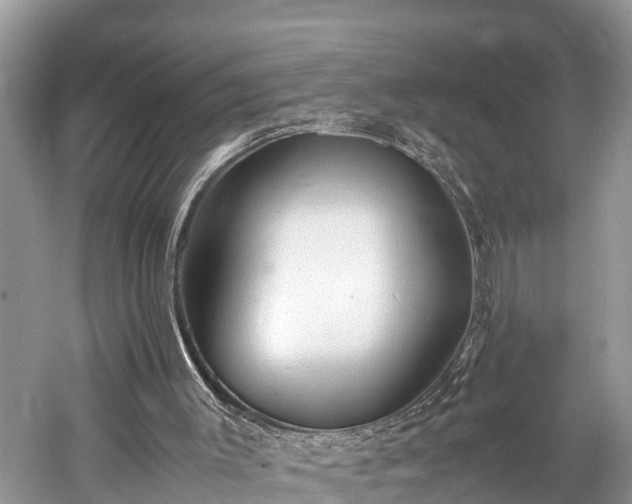 X0000059850003200510241516