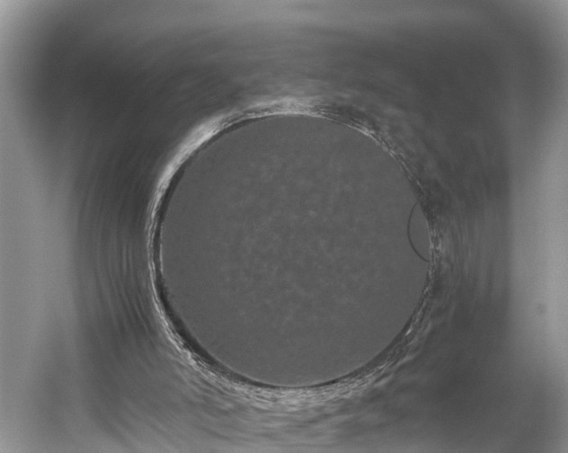 X0000059850006200510241516