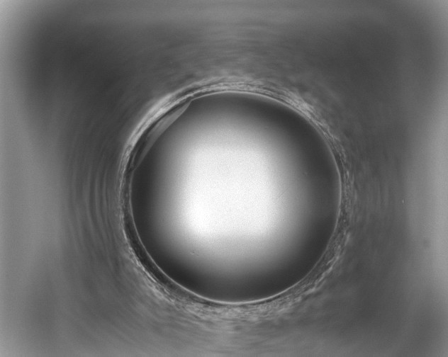 X0000059850007200510241516