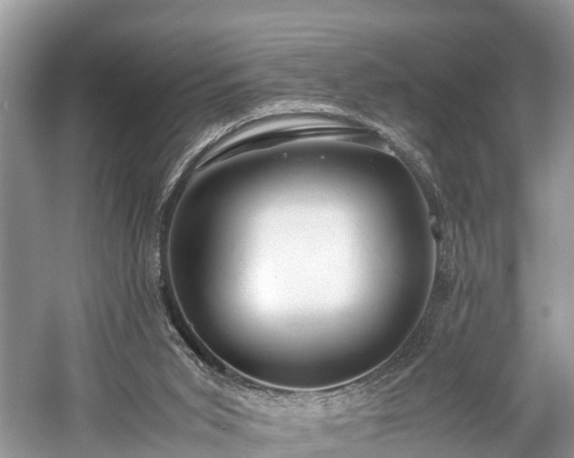 X0000059850015200510241516