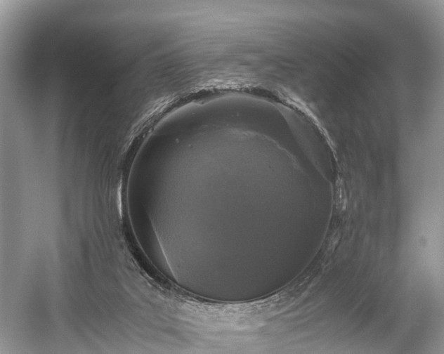 X0000059850019200510241516