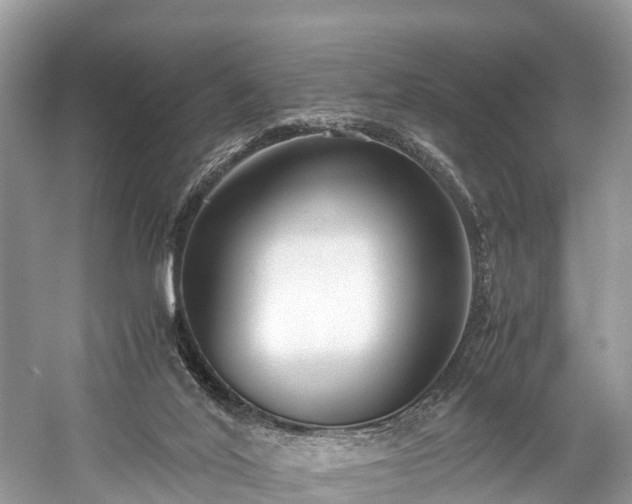 X0000059850020200510241516