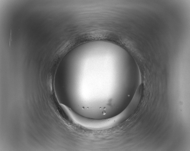 X0000059850021200510241516