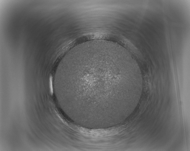 X0000059850022200510241516