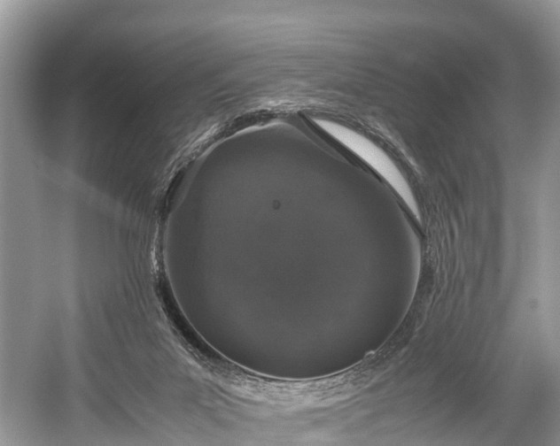 X0000059850023200510241516