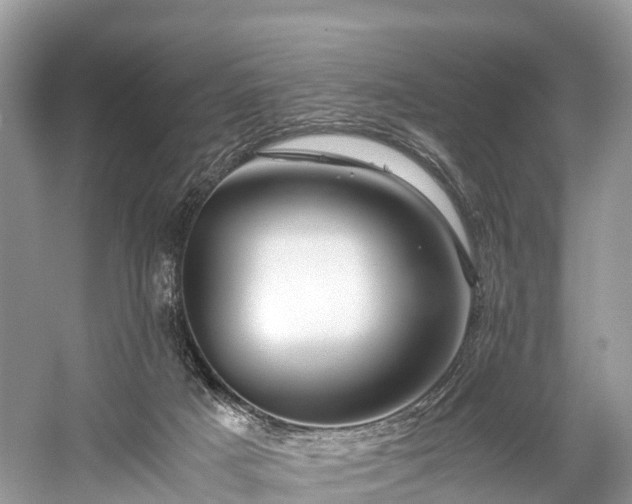 X0000059850025200510241516