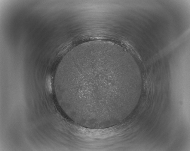 X0000059850026200510241516