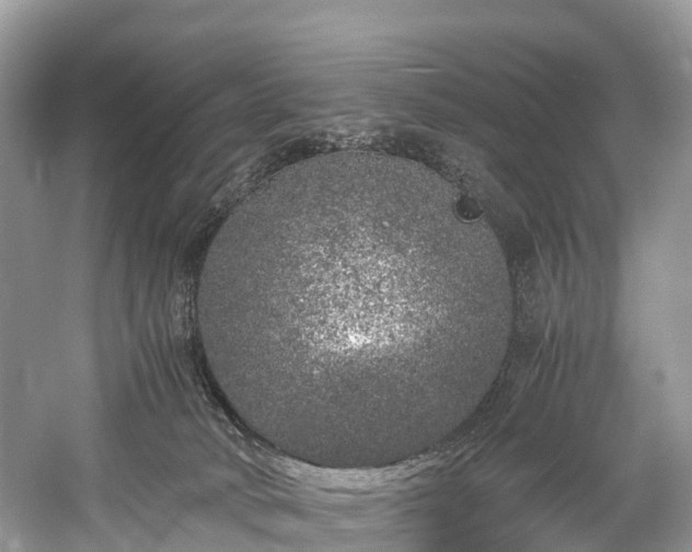 X0000059850034200510241515
