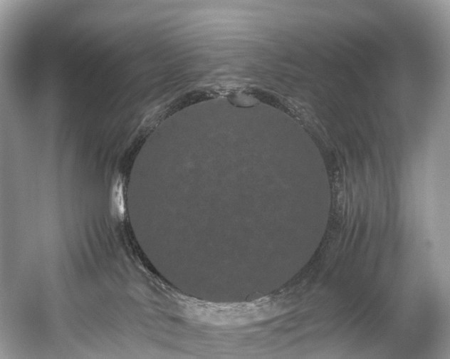 X0000059850042200510241515