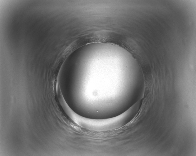 X0000059850045200510241515
