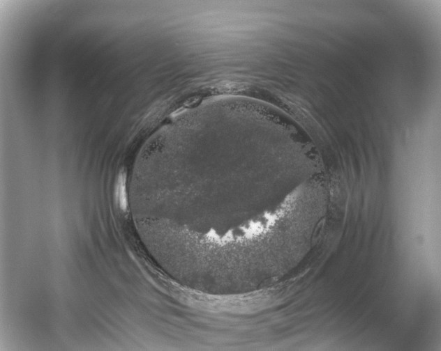 X0000059850046200510241515