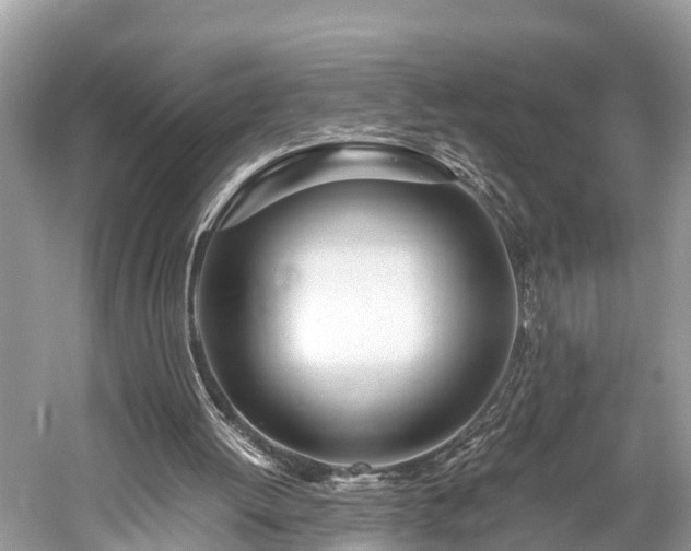 X0000059850052200510241514