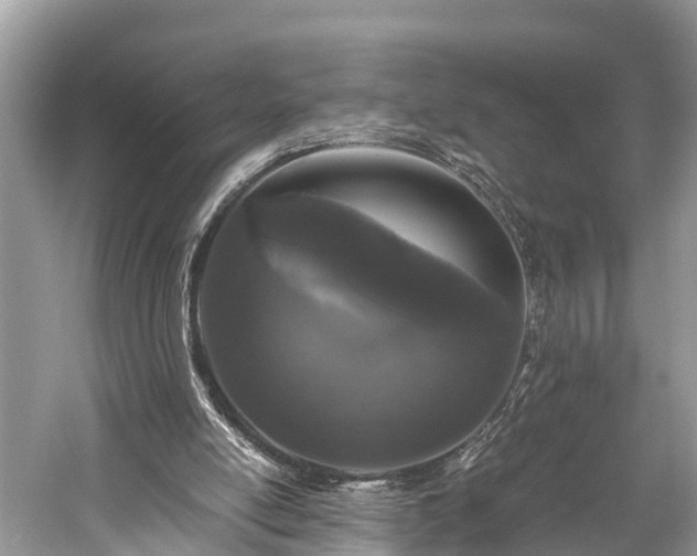 X0000059850054200510241514