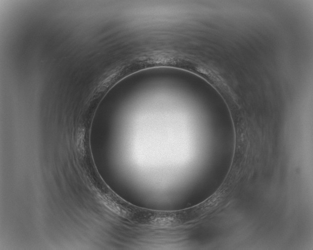 X0000059850066200510241515