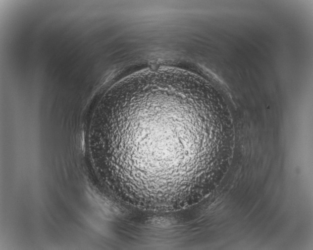 X0000059850067200510241515