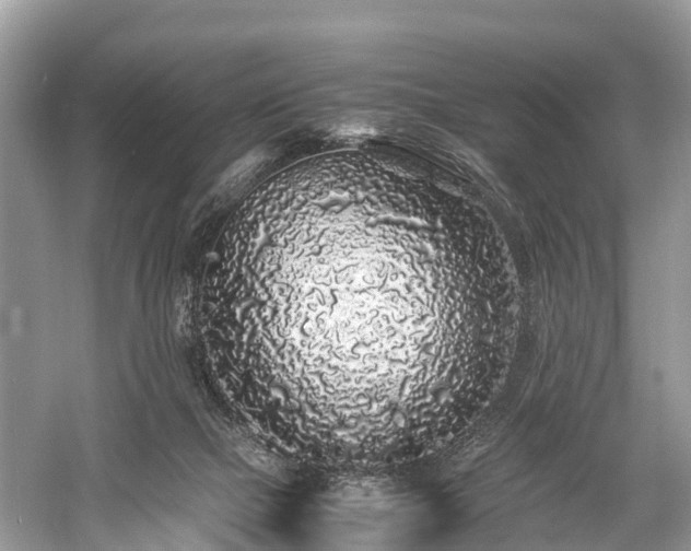 X0000059850073200510241515