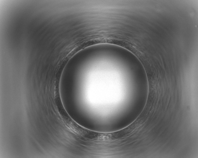 X0000059850080200510241515