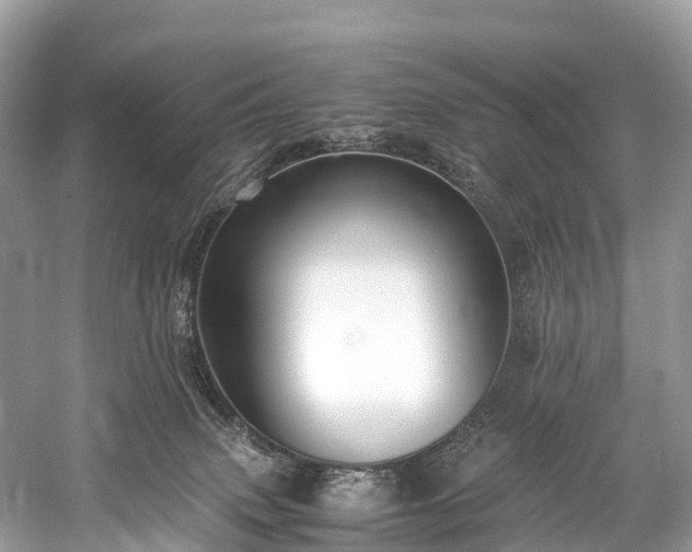 X0000059850083200510241515