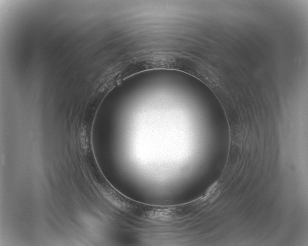 X0000059850086200510241515