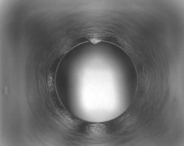 X0000059850087200510241515