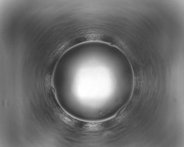 X0000059850093200510241515