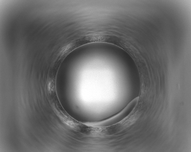 X0000059850096200510241515