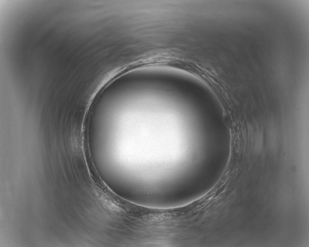 X0000059850100200510241514