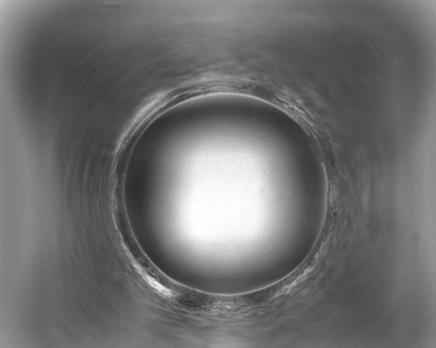 X0000059850101200510241514