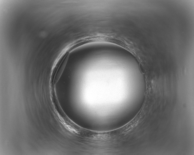 X0000059850102200510241514