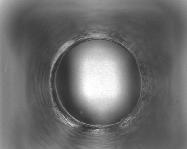 X0000059850104200510241514
