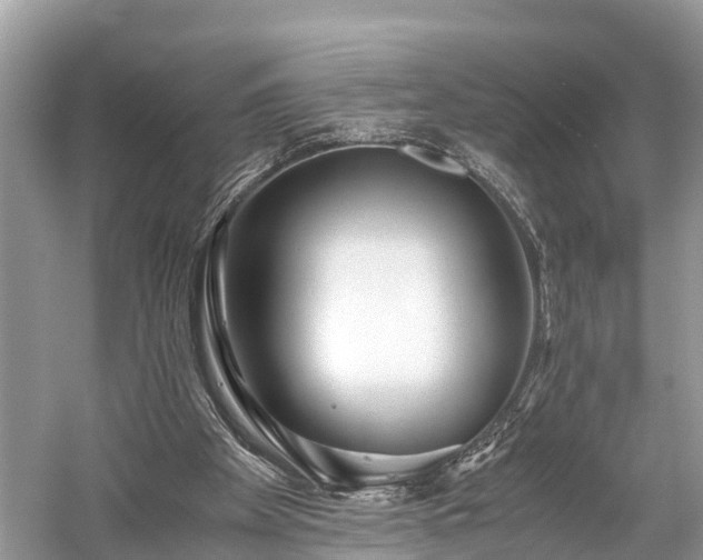 X0000059850105200510241514