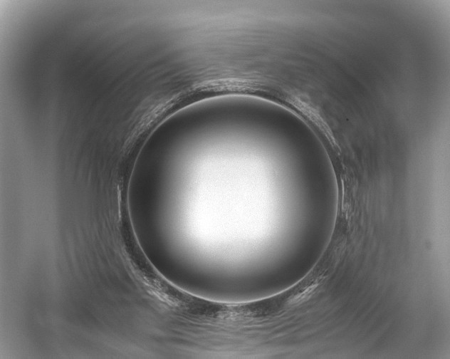 X0000059850109200510241514