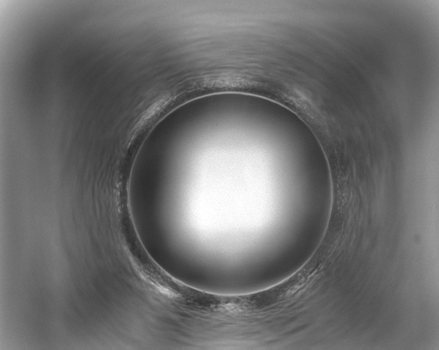 X0000059850111200510241514