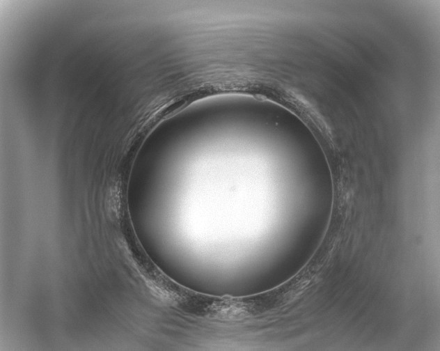 X0000059850113200510241514