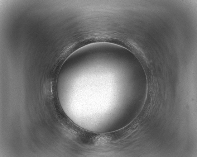 X0000059850115200510241514