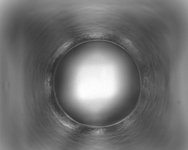 X0000059850116200510241514