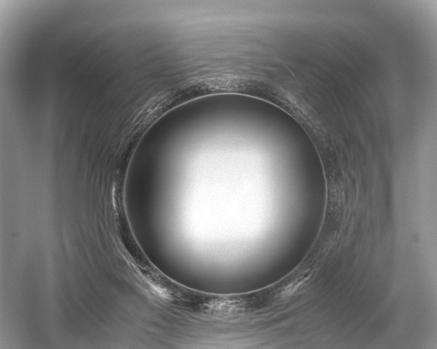 X0000059850117200510241514