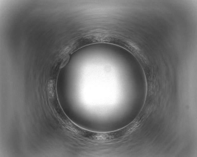 X0000059850121200510241514