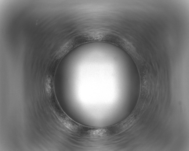 X0000059850122200510241514