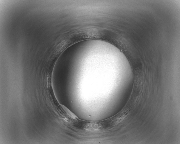 X0000059850123200510241514