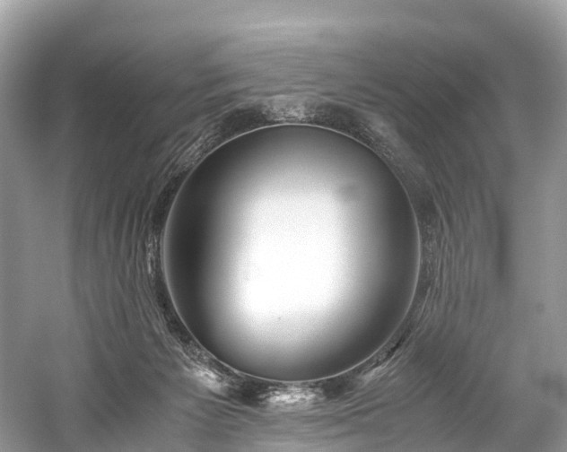 X0000059850125200510241514