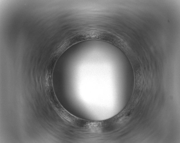 X0000059850126200510241514
