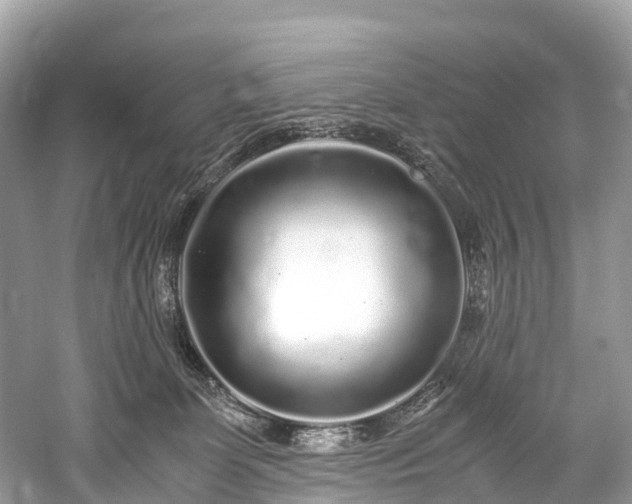 X0000059850131200510241514