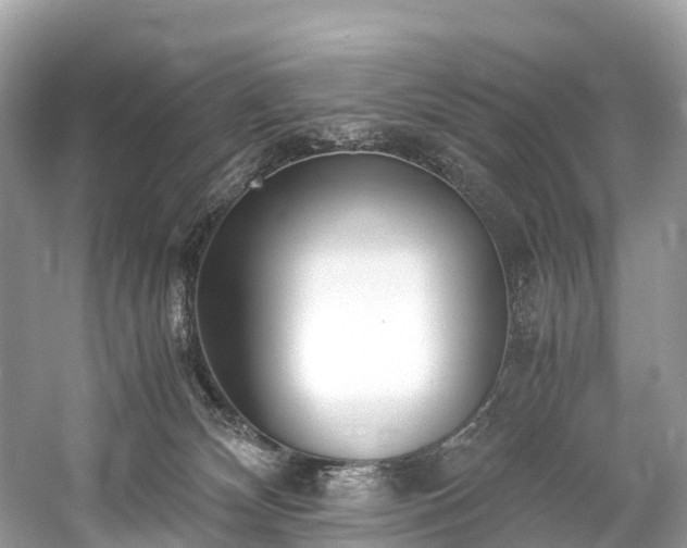 X0000059850132200510241514