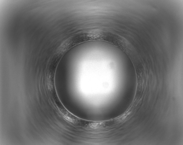 X0000059850136200510241514