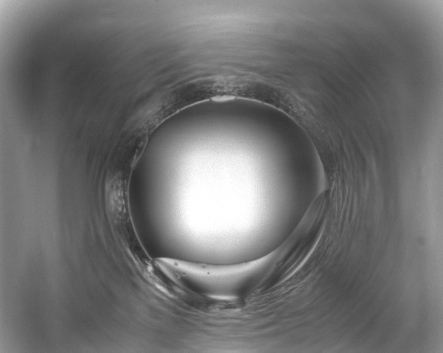 X0000059850137200510241514