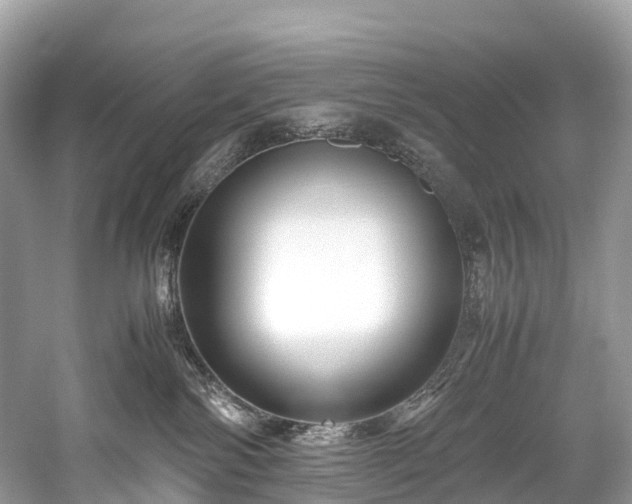 X0000059850138200510241514