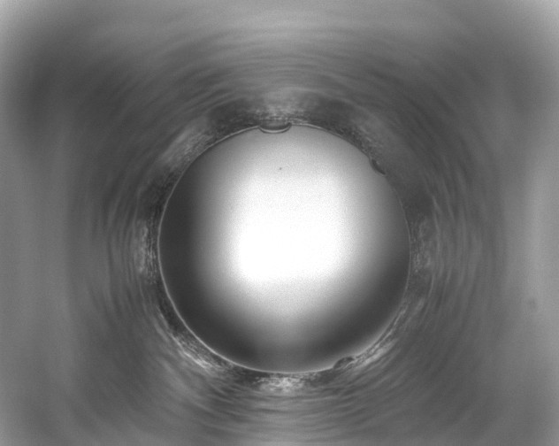 X0000059850140200510241514