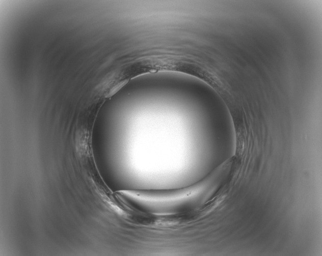 X0000059850141200510241514